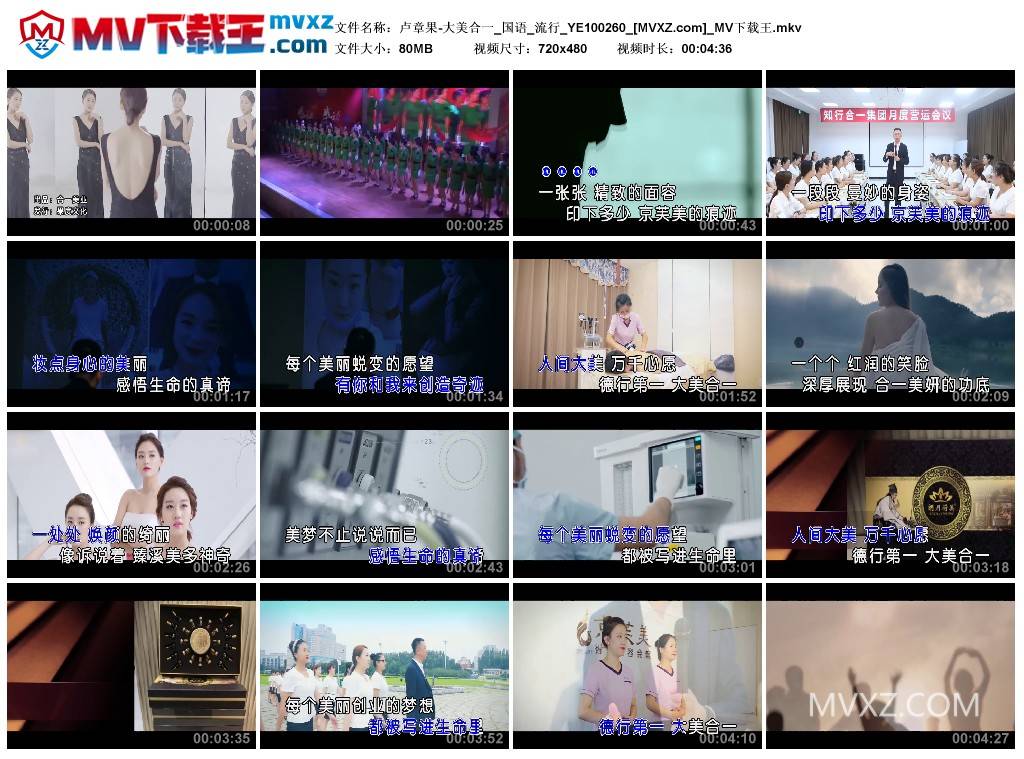 卢章果-大美合一_国语_流行_YE100260